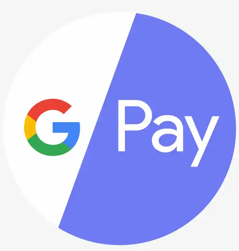 Google Pay Delhi Escort Service